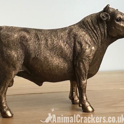 Bull ornament figurine sculpture Leonardo Bronzed range cattle farmer gift boxed