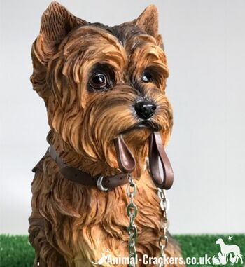 Yorkshire Terrier Yorkie Leonardo grande figurine ornement Walkies coffret cadeau 2