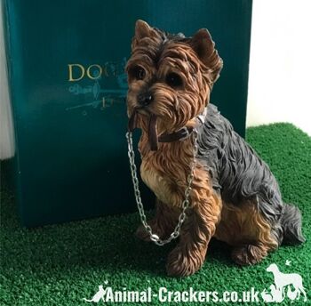 Yorkshire Terrier Yorkie Leonardo grande figurine ornement Walkies coffret cadeau 5