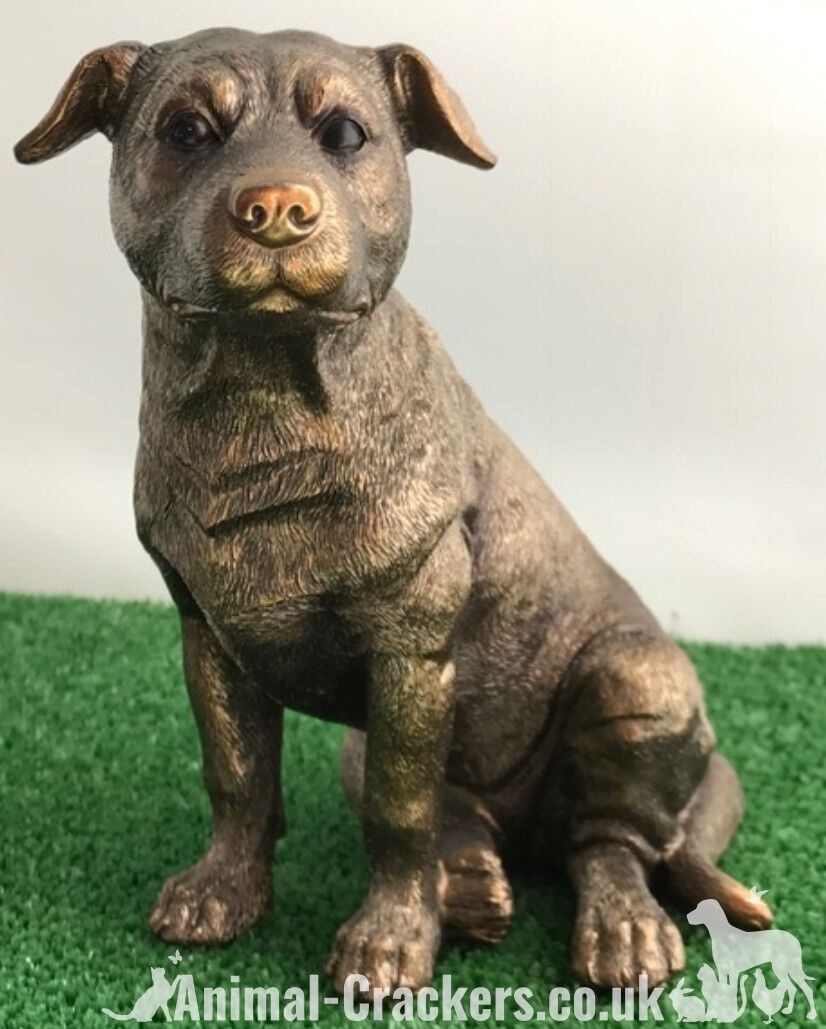 Staffordshire Bull Terrier Staffy Staffie Leonardo Ornamento bronzato, confezione regalo