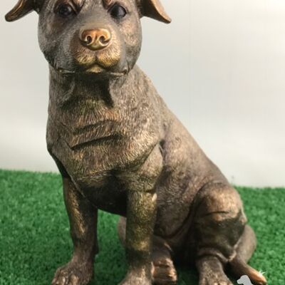 Staffordshire Bull Terrier Staffy Staffie Leonardo Ornamento bronzato, confezione regalo