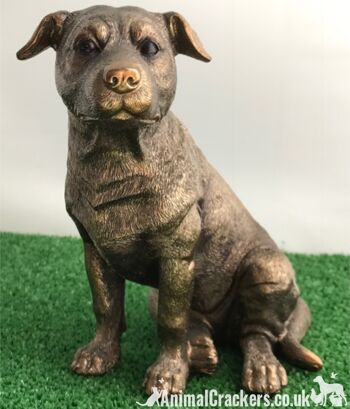 Staffordshire Bull Terrier Staffy Staffie Leonardo Ornement bronzé, coffret cadeau 3