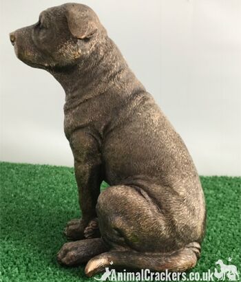 Staffordshire Bull Terrier Staffy Staffie Leonardo Ornement bronzé, coffret cadeau 4