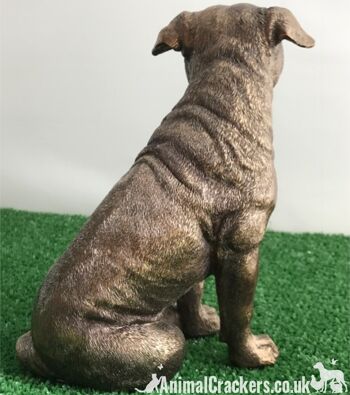 Staffordshire Bull Terrier Staffy Staffie Leonardo Ornement bronzé, coffret cadeau 5