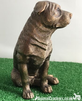 Staffordshire Bull Terrier Staffy Staffie Leonardo Ornement bronzé, coffret cadeau 6