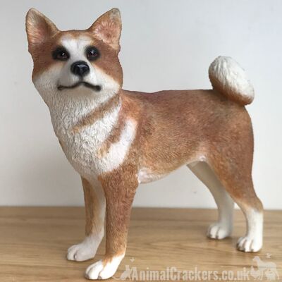 Realistico Akita amante regalo ornamento figurine scultura Leonardo, confezione regalo