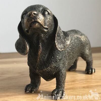 Figurina scultura ornamento cane bassotto in bronzo fuso di qualità in scatola