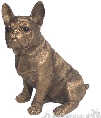 Figurine d'ornement bronzé Leonardo French Bulldog Frenchie, Animal Crackers Exclusive, dans un coffret cadeau Leonardo doré 1