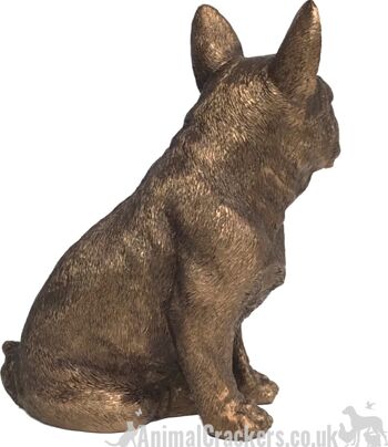 Figurine d'ornement bronzé Leonardo French Bulldog Frenchie, Animal Crackers Exclusive, dans un coffret cadeau Leonardo doré 4