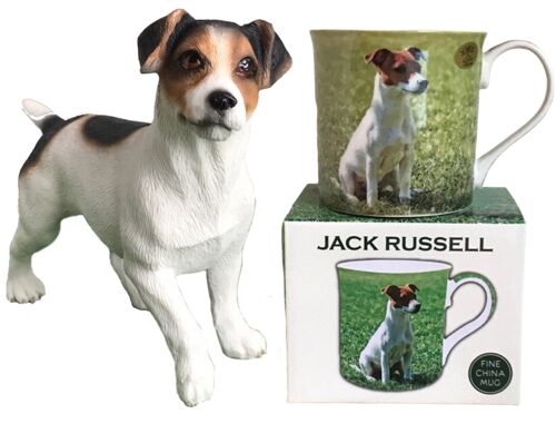 Jack Russell ORNAMENT AND MUG set quality lifelike Leonardo figurine & china mug