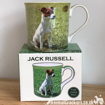 Ensemble d'ORNEMENT ET MUG de Jack Russell, figurine Léonardo et tasse en porcelaine réalistes de qualité 3