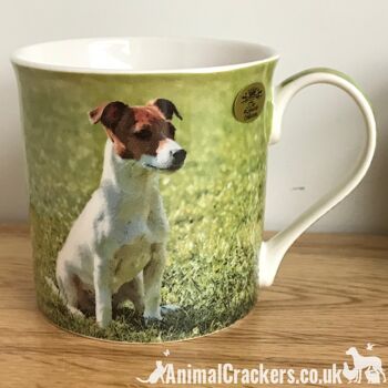 Ensemble d'ORNEMENT ET MUG de Jack Russell, figurine Léonardo et tasse en porcelaine réalistes de qualité 6