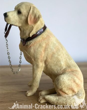 Golden Labrador grande figurine d'ornement de qualité réaliste Leonardo 'Walkies' de 18 cm, en boîte 2
