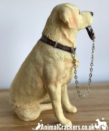 Golden Labrador grande figurine d'ornement de qualité réaliste Leonardo 'Walkies' de 18 cm, en boîte 3