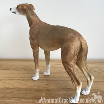 Fawn Tan Greyhound ornement sculpture statue réaliste Leonardo figurine, en boîte 3