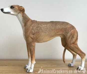 Fawn Tan Greyhound ornement sculpture statue réaliste Leonardo figurine, en boîte 4