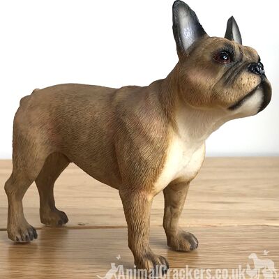 Bulldog francese fulvo Frenchie ornamento statuina scultura Leonardo, confezione regalo