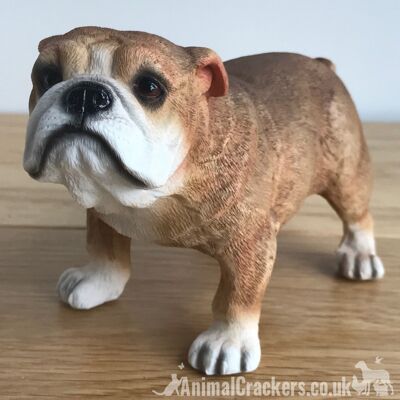 Bulldog inglese ornamento figurine scultura decorazione gamma Leonardo in confezione regalo