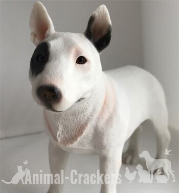 Bull Terrier anglais ornement réaliste figurine statue Leonardo coffret cadeau 2