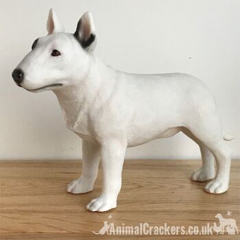 Bull Terrier anglais ornement réaliste figurine statue Leonardo coffret cadeau 5