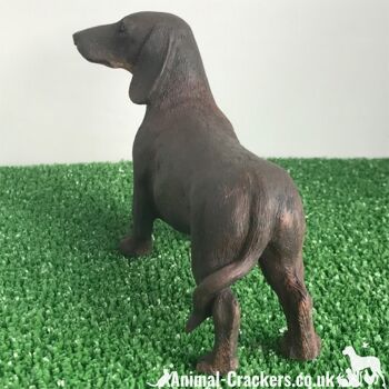 Chocolate & Tan Teckel Sausage Dog qualité Leonardo ornement réaliste, en boîte 5