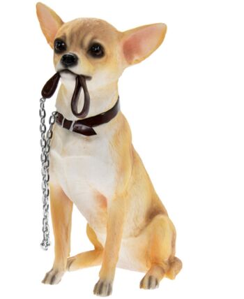 Chihuahua grande figurine d'ornement Leonardo réaliste de 18 cm de qualité, boîte cadeau 1