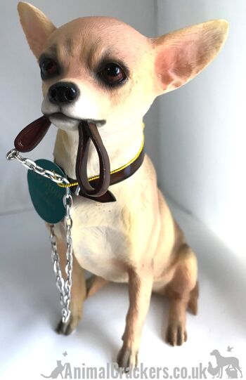 Chihuahua grande figurine d'ornement Leonardo réaliste de 18 cm de qualité, boîte cadeau 3