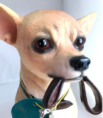 Chihuahua grande figurine d'ornement Leonardo réaliste de 18 cm de qualité, boîte cadeau 5