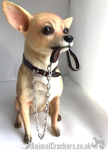 Chihuahua grande figurine d'ornement Leonardo réaliste de 18 cm de qualité, boîte cadeau 6