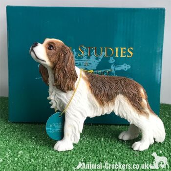 Châtaignier & White Cavalier King Charles Spaniel Figurine d'ornement Leonardo, en boîte 3