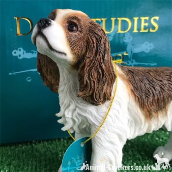 Châtaignier & White Cavalier King Charles Spaniel Figurine d'ornement Leonardo, en boîte 4