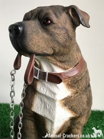 Grand ornement Brown Staffordshire Bull Terrier 'Staffie' de la gamme Leonardo 'Walkies' 3