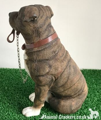 Grand ornement Brown Staffordshire Bull Terrier 'Staffie' de la gamme Leonardo 'Walkies' 4