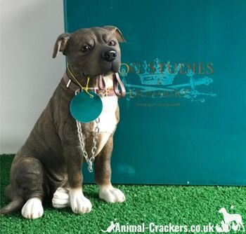 Grand ornement Brown Staffordshire Bull Terrier 'Staffie' de la gamme Leonardo 'Walkies' 5