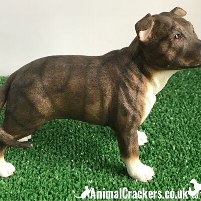 Brown Staffordshire Bull Terrier Staffie Figurine d'ornement Leonardo en boîte
