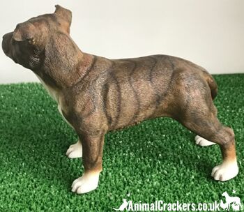 Brown Staffordshire Bull Terrier Staffie Figurine d'ornement Leonardo en boîte 2