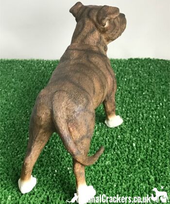Brown Staffordshire Bull Terrier Staffie Figurine d'ornement Leonardo en boîte 3