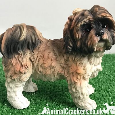 Braune Shih Tzu Dekofigur hochwertige realistische Leonardo Serie. Geschenk verpackt.