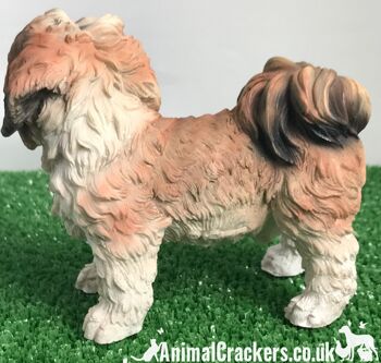 Figurine Shih Tzu marron ornement de qualité réaliste de la gamme Leonardo. Coffret cadeau. 3