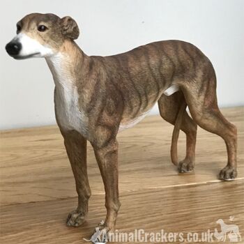 Brindle Greyhound ornement sculpture statue réaliste Leonardo figurine, en boîte 1