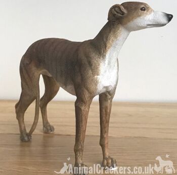 Brindle Greyhound ornement sculpture statue réaliste Leonardo figurine, en boîte 2