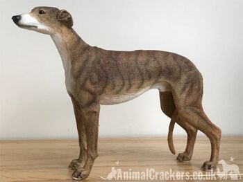 Brindle Greyhound ornement sculpture statue réaliste Leonardo figurine, en boîte 3