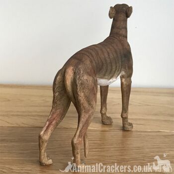 Brindle Greyhound ornement sculpture statue réaliste Leonardo figurine, en boîte 4