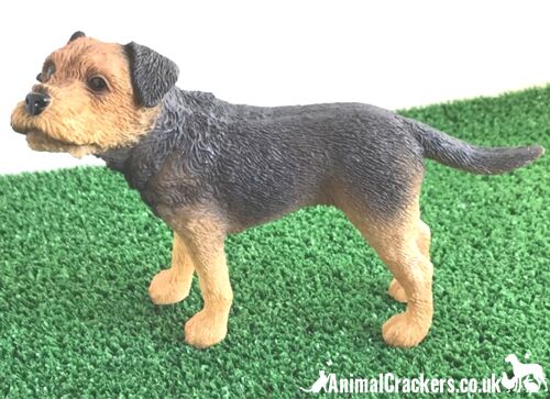 Border Terrier, quality lifelike figurine from the Leonardo range. Gift boxed.