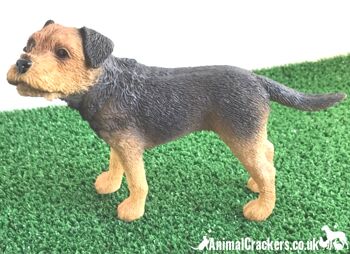 Border Terrier, figurine réaliste de qualité de la gamme Leonardo. Coffret cadeau. 1