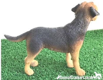 Border Terrier, figurine réaliste de qualité de la gamme Leonardo. Coffret cadeau. 2