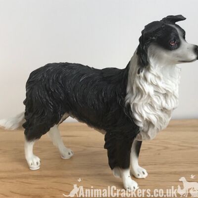 Border Collie Sheepdog Lassie ornamento escultura estatuilla Leonardo, en caja de regalo