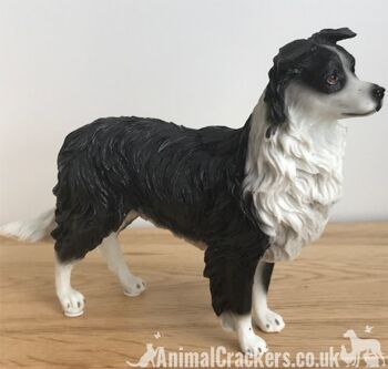 Border Collie Sheepdog Lassie ornement sculpture figurine Leonardo, coffret cadeau 1