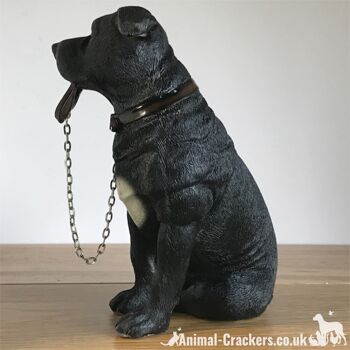 Grand ornement noir Staffordshire Bull Terrier 'Staffie' de la gamme Leonardo 'Walkies' 5