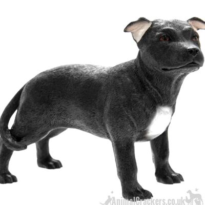 Schwarzer Staffordshire Bullterrier 'Staffie' Ornament von Leonardo, in Geschenkverpackung